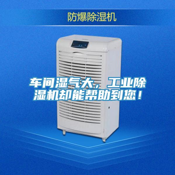 車間濕氣大，工業91看片网站卻能幫助到您！