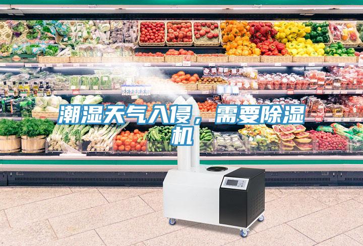 潮濕天氣入侵，需要91看片网站