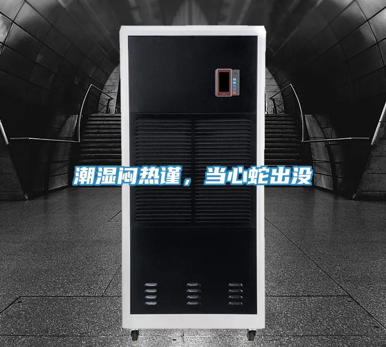 潮濕悶熱謹，當心蛇出沒