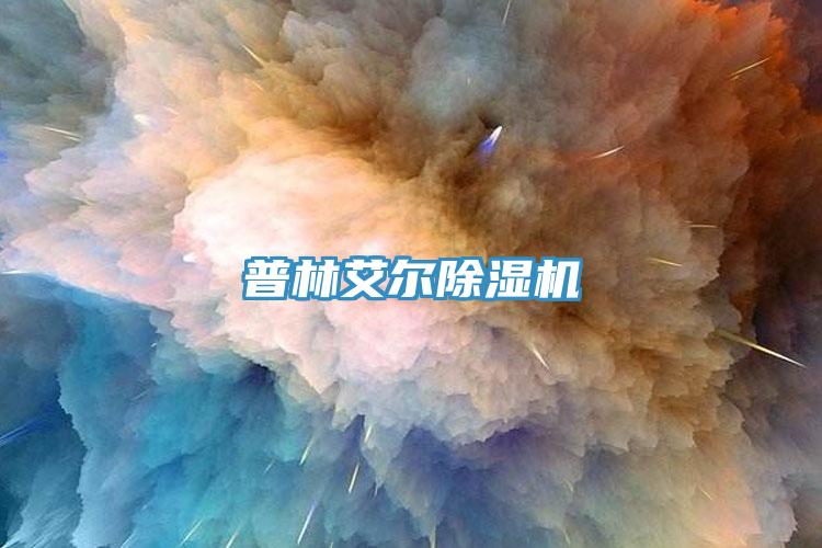 普林艾爾91看片网站