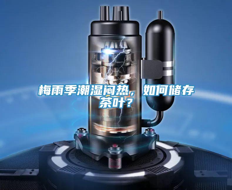 梅雨季潮濕悶熱，如何儲存茶葉？