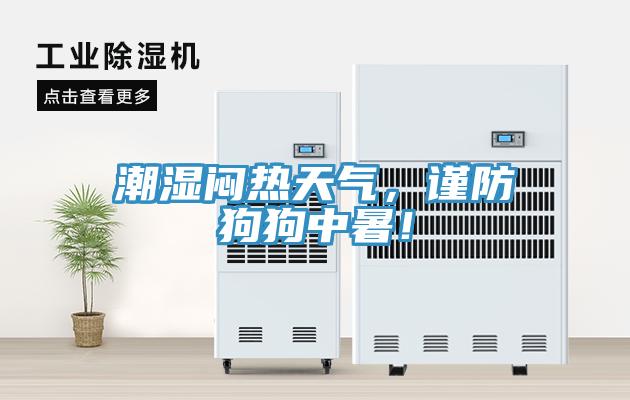 潮濕悶熱天氣，謹防狗狗中暑！