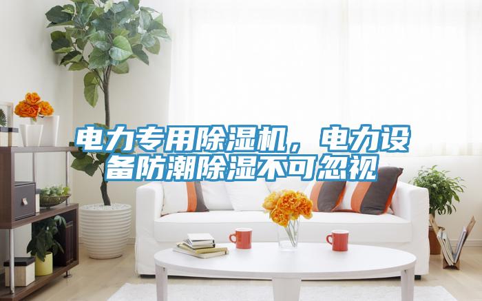 電力專用91看片网站，電力設備防潮除濕不可忽視