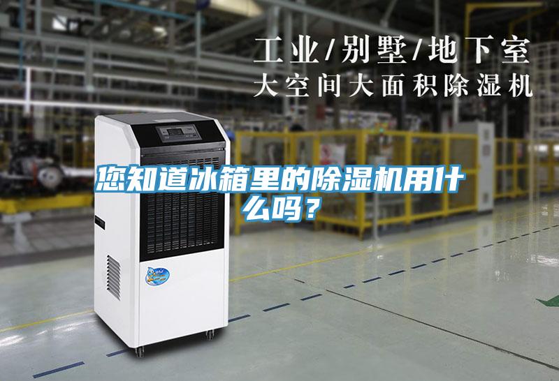您知道冰箱裏的91看片网站用什麽嗎？