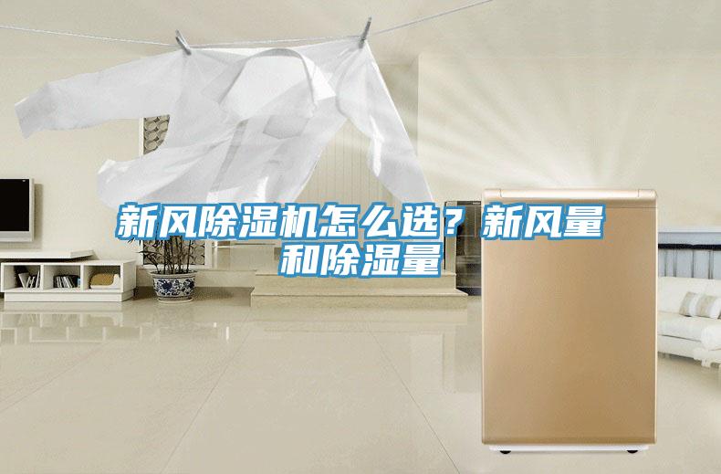 新風91看片网站怎麽選？新風量和除濕量