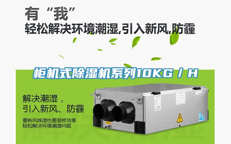 櫃機式91看片网站係列10KG／H