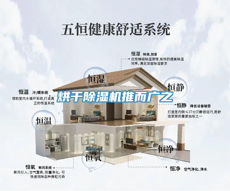 烘幹91看片网站推而廣之