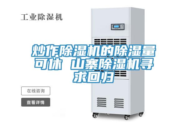 炒作91看片网站的除濕量可休 山寨91看片网站尋求回歸