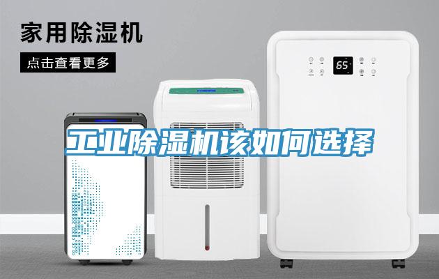 工業91看片网站該如何選擇