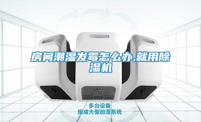 房間潮濕發黴怎麽辦,就用91看片网站