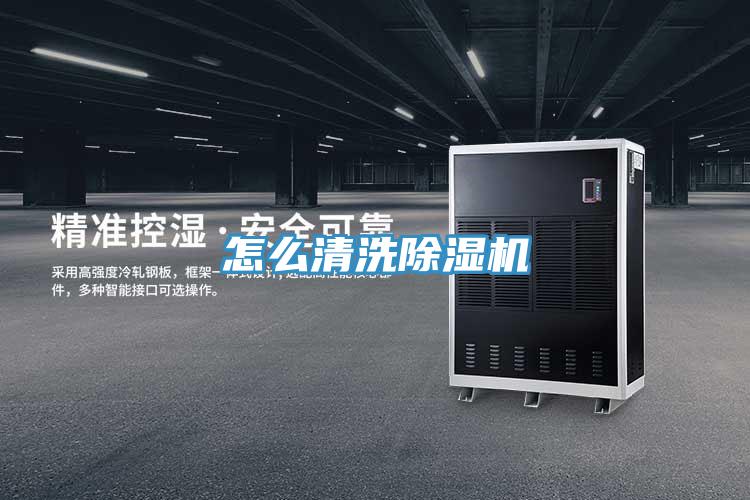怎麽清洗91看片网站