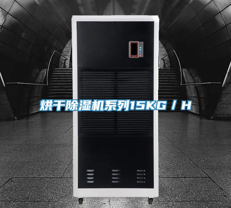 烘幹91看片网站係列15KG／H