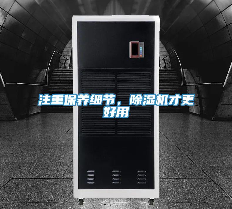 注重保養細節，91看片网站才更好用