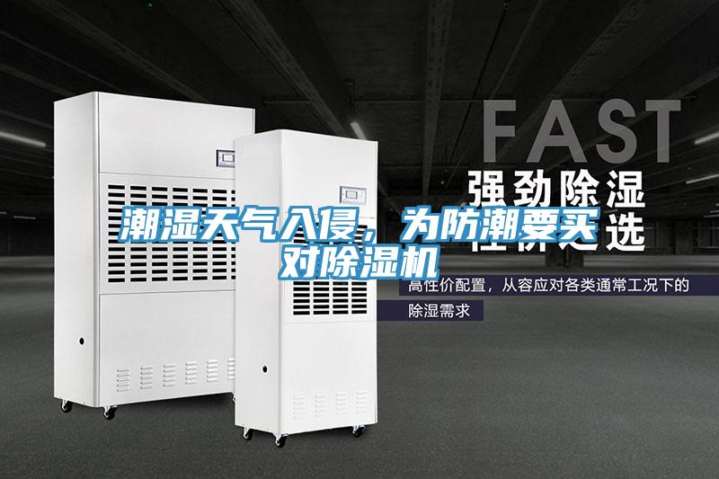潮濕天氣入侵，為防潮要買對91看片网站