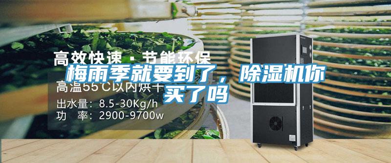 梅雨季就要到了，91看片网站你買了嗎