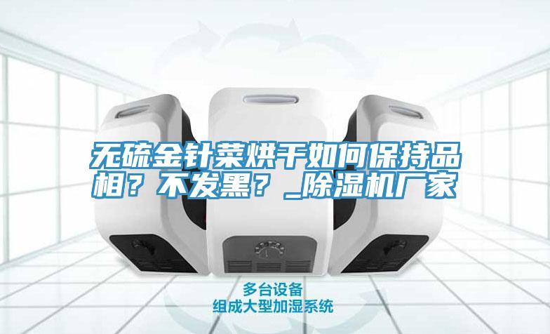 無硫金針菜烘幹如何保持品相？不發黑？_91看片网站廠家