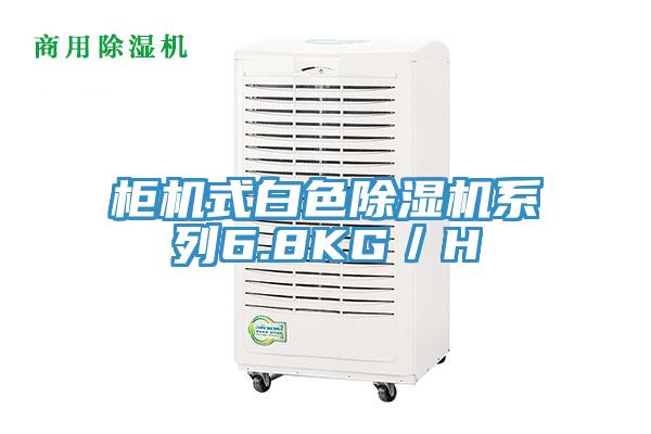 櫃機式白色91看片网站係列6.8KG／H