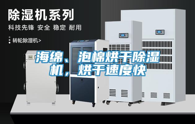 海綿、泡棉烘幹91看片网站，烘幹速度快