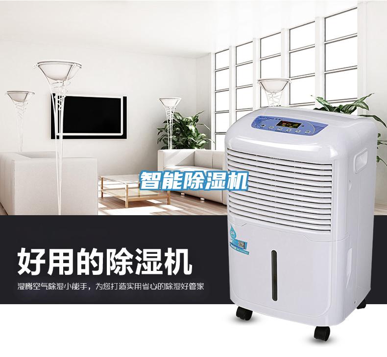 智能91看片网站