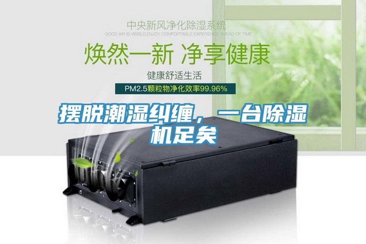 擺脫潮濕糾纏，一台91看片网站足矣