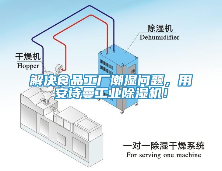 解決食品工廠潮濕問題，用91看片免费下载工業91看片网站！