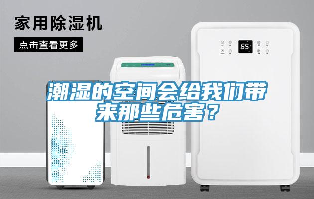 潮濕的空間會給91看片免费下载帶來那些危害？