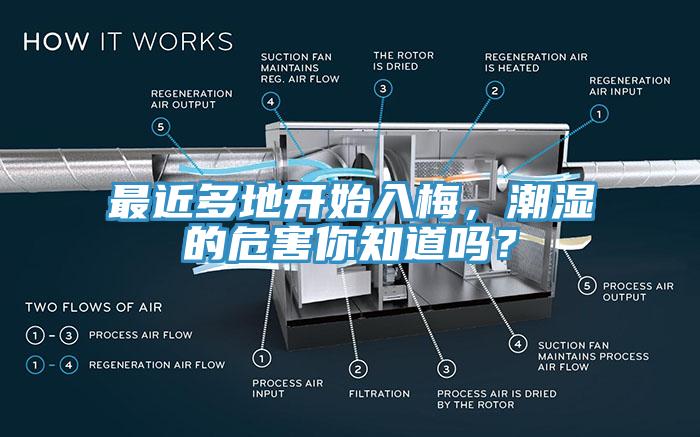 最近多地開始入梅，潮濕的危害你知道嗎？
