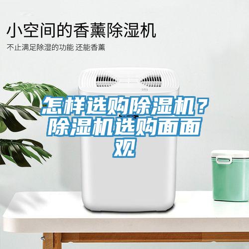 怎樣選購91看片网站？91看片网站選購麵麵觀