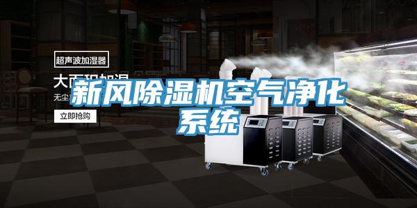 新風91看片网站空氣淨化係統