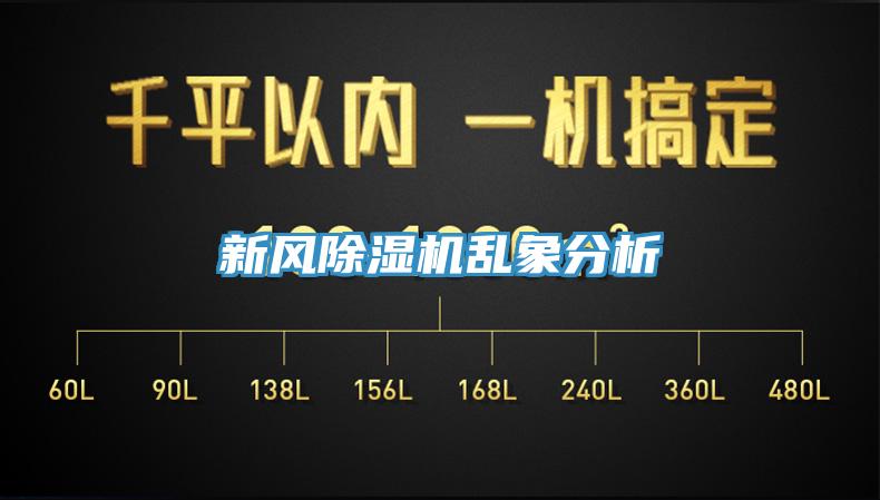 新風91看片网站亂象分析