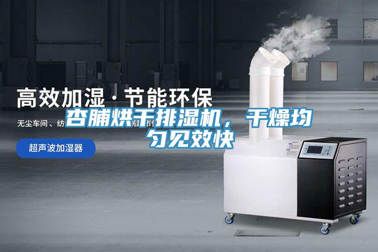 杏脯烘幹排濕機，幹燥均勻見效快