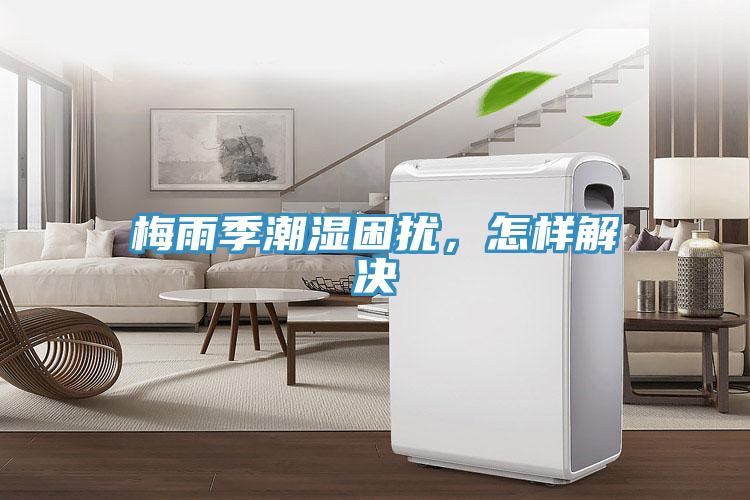梅雨季潮濕困擾，怎樣解決
