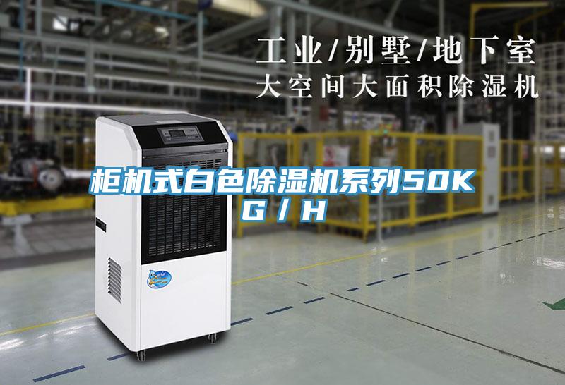 櫃機式白色91看片网站係列50KG／H