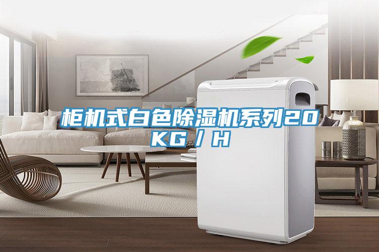 櫃機式白色91看片网站係列20KG／H