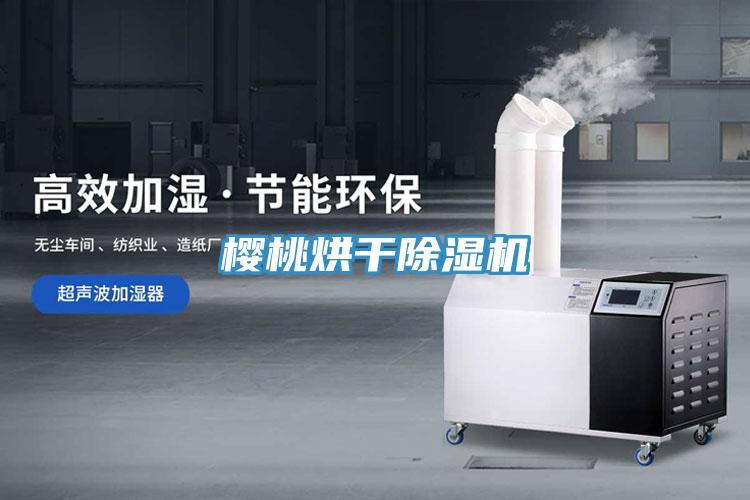 櫻桃烘幹91看片网站