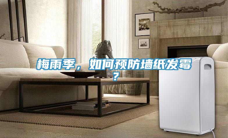 梅雨季，如何預防牆紙發黴？
