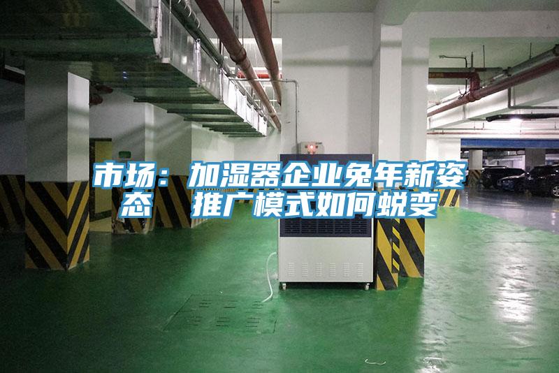 市場：加濕器企業兔年新姿態  推廣模式如何蛻變