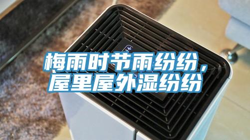 梅雨時節雨紛紛，屋裏屋外濕紛紛