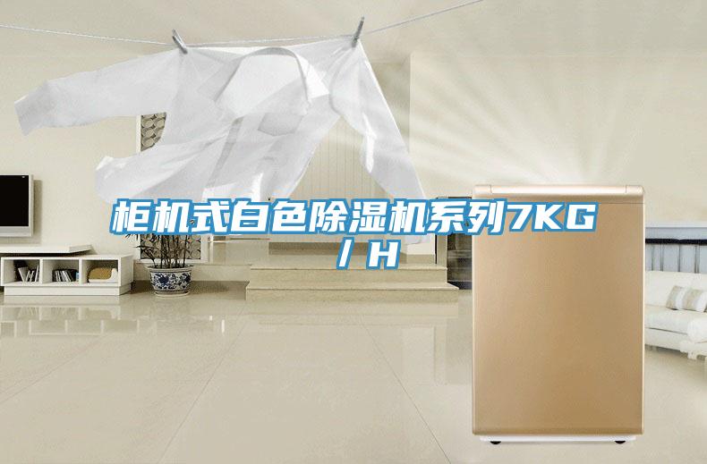 櫃機式白色91看片网站係列7KG／H