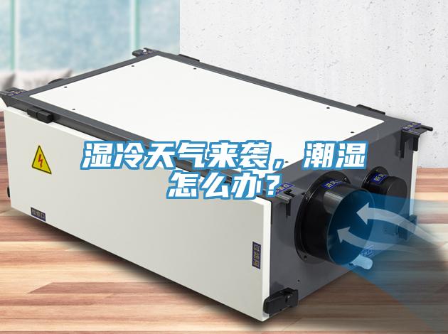 濕冷天氣來襲，潮濕怎麽辦？