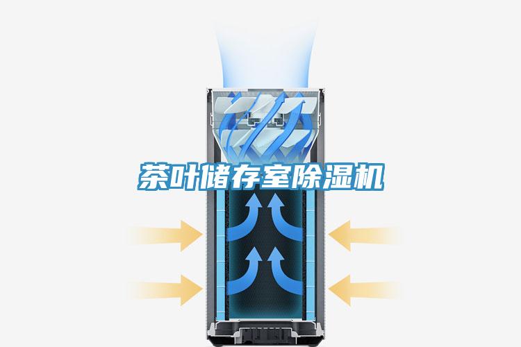 茶葉儲存室91看片网站