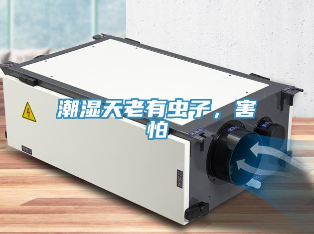 潮濕天老有蟲子，害怕