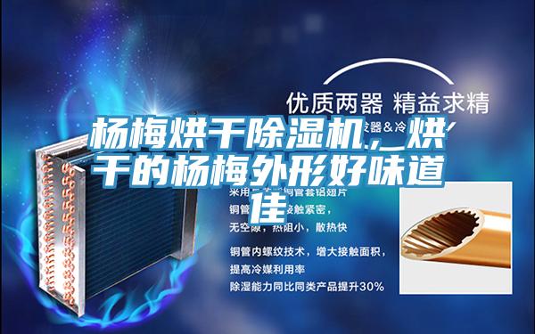 楊梅烘幹91看片网站，烘幹的楊梅外形好味道佳
