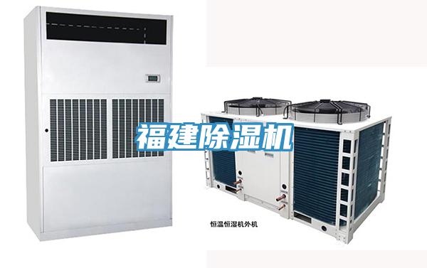 福建91看片网站
