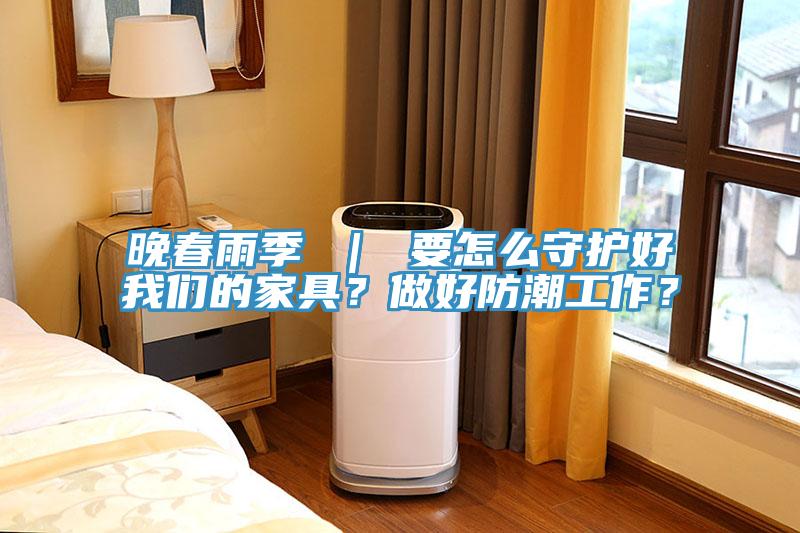 晚春雨季 ｜ 要怎麽守護好91看片免费下载的家具？做好防潮工作？