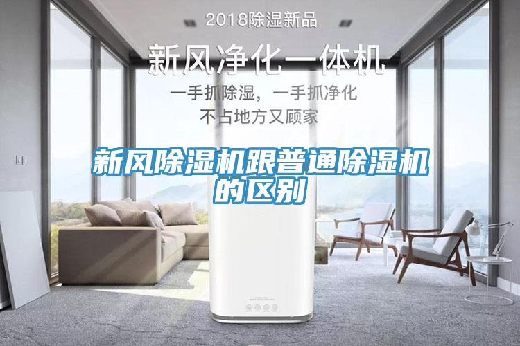 新風91看片网站跟普通91看片网站的區別