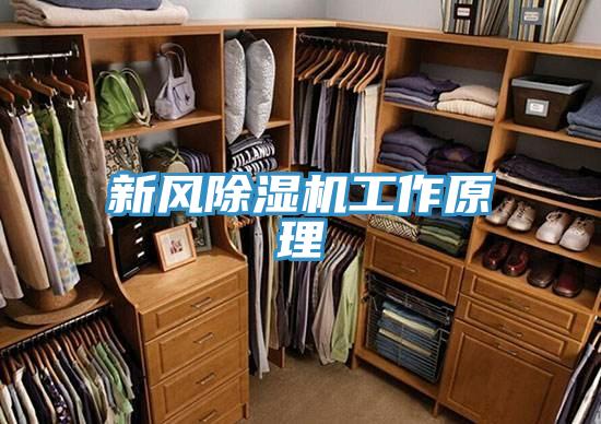 新風91看片网站工作原理