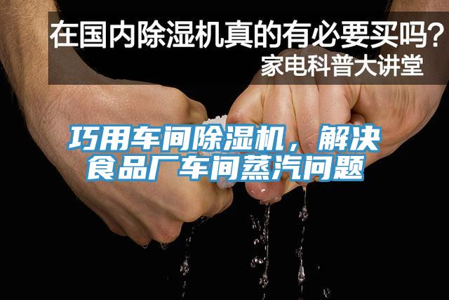 巧用車間91看片网站，解決食品廠車間蒸汽問題
