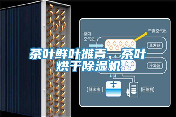 茶葉鮮葉攤青、茶葉烘幹91看片网站