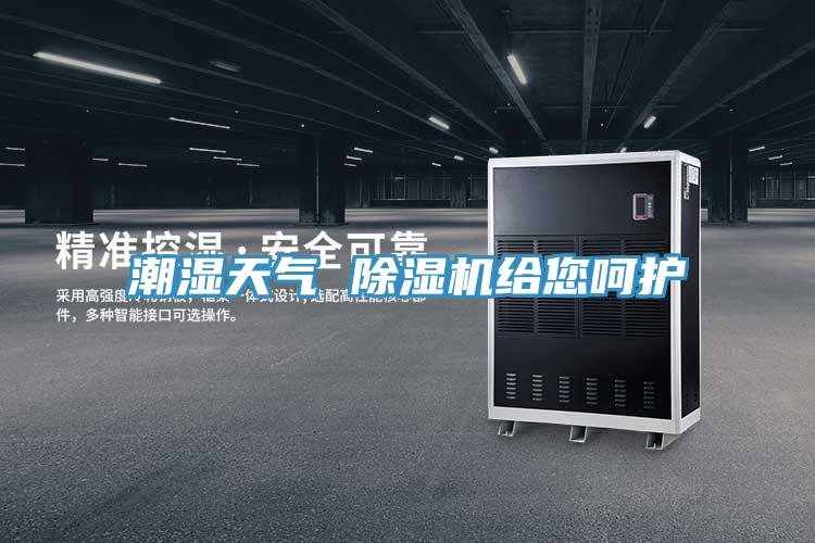 潮濕天氣 91看片网站給您嗬護